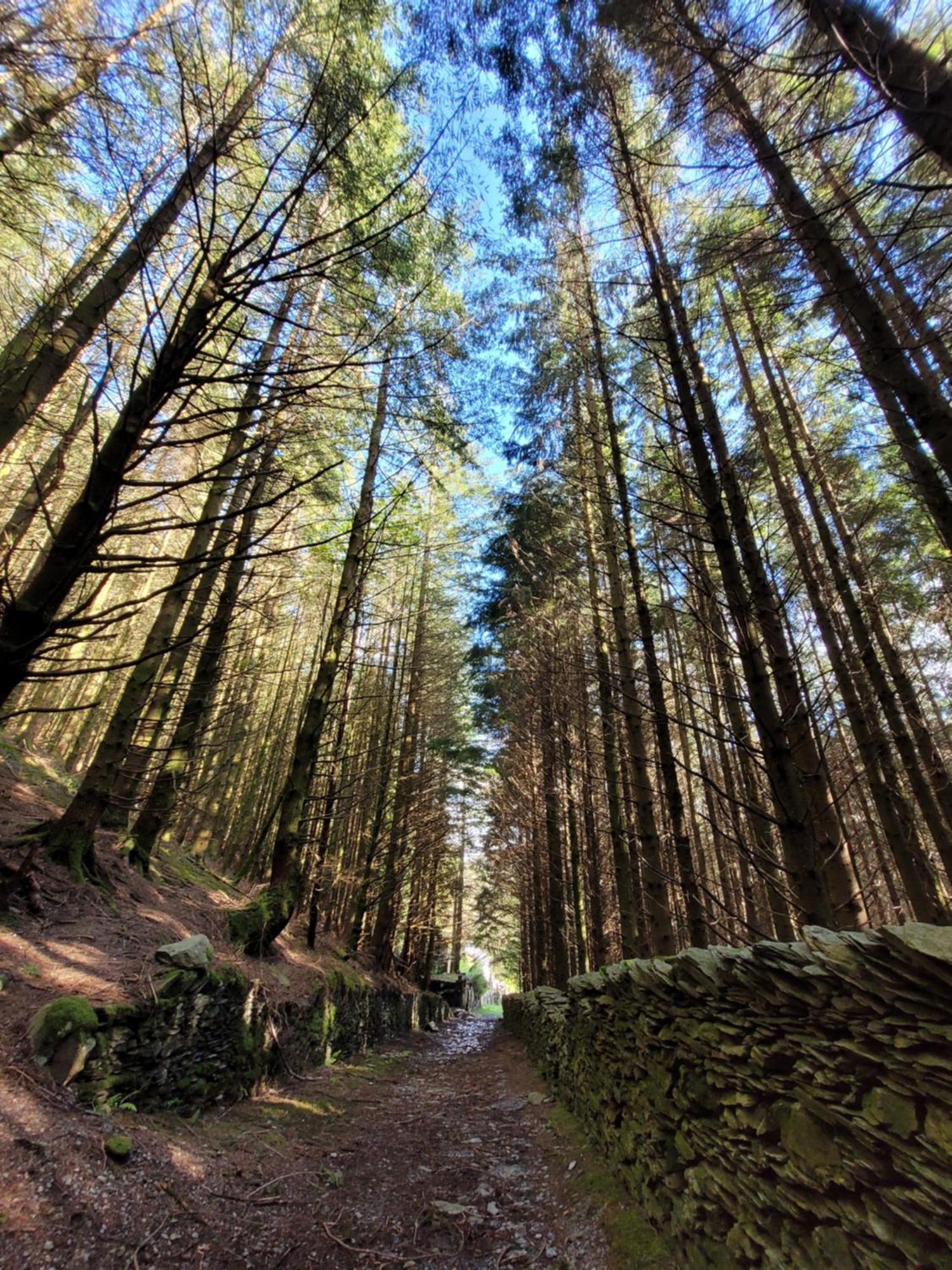 The Granary Corris On The Edge Of The Dyfi Forest Extérieur photo