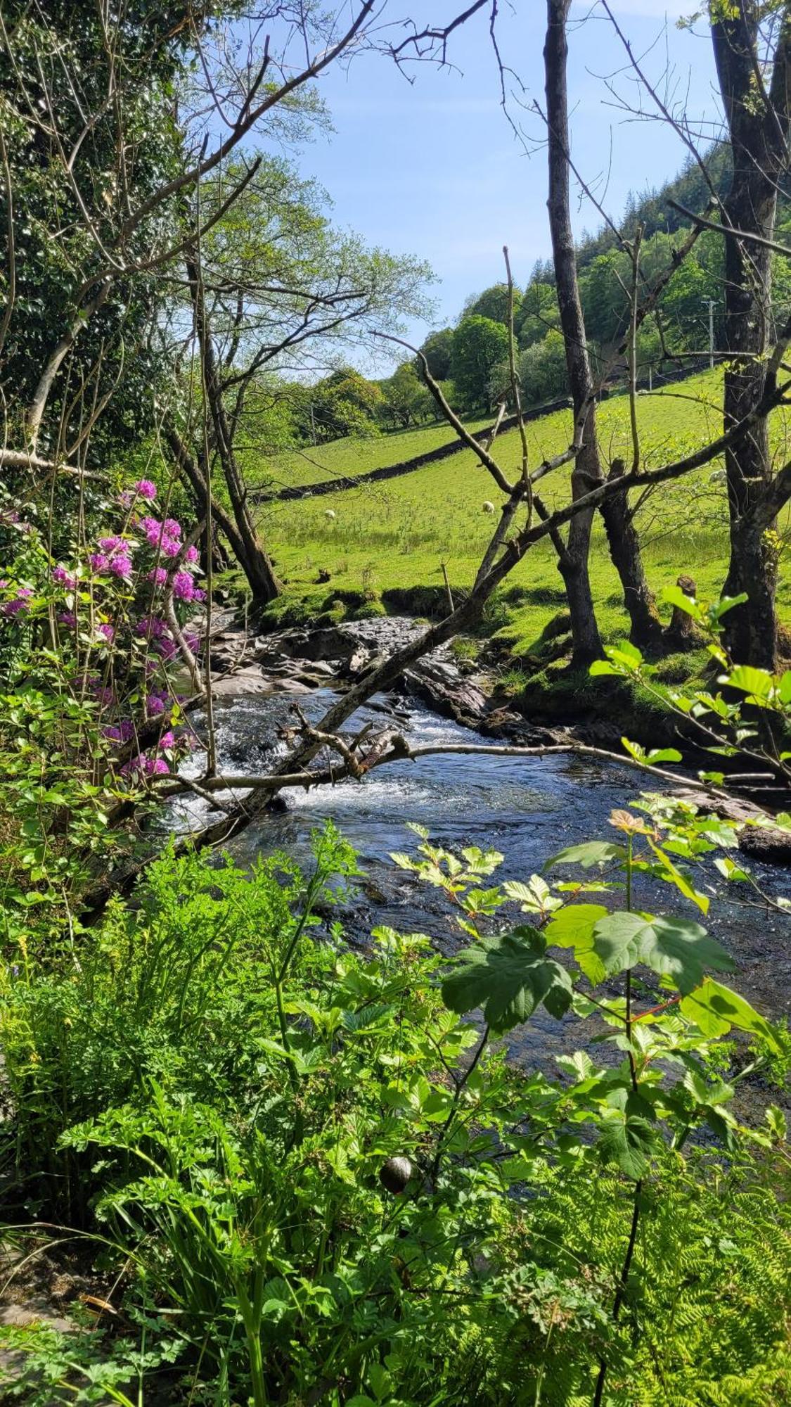 The Granary Corris On The Edge Of The Dyfi Forest Extérieur photo